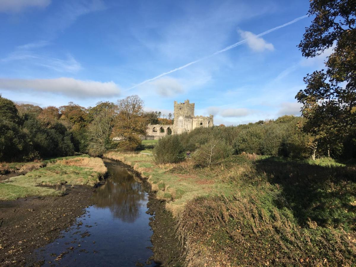 Tobernaglough Wexford Pet Friendly Country B&B Ramsgrange Exterior foto